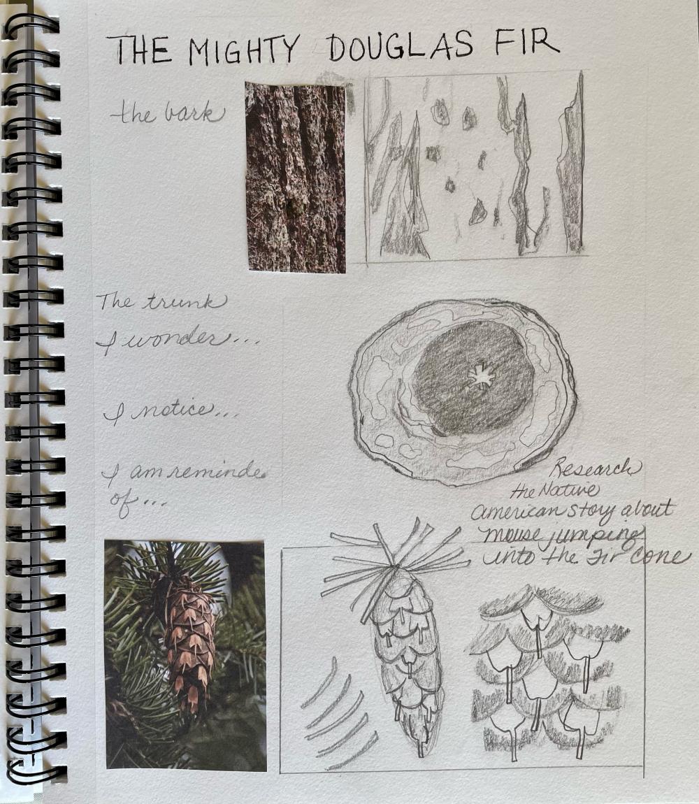 Different Sketchbook Styles - Methods For Observing And Drawing In Your  Nature Journal