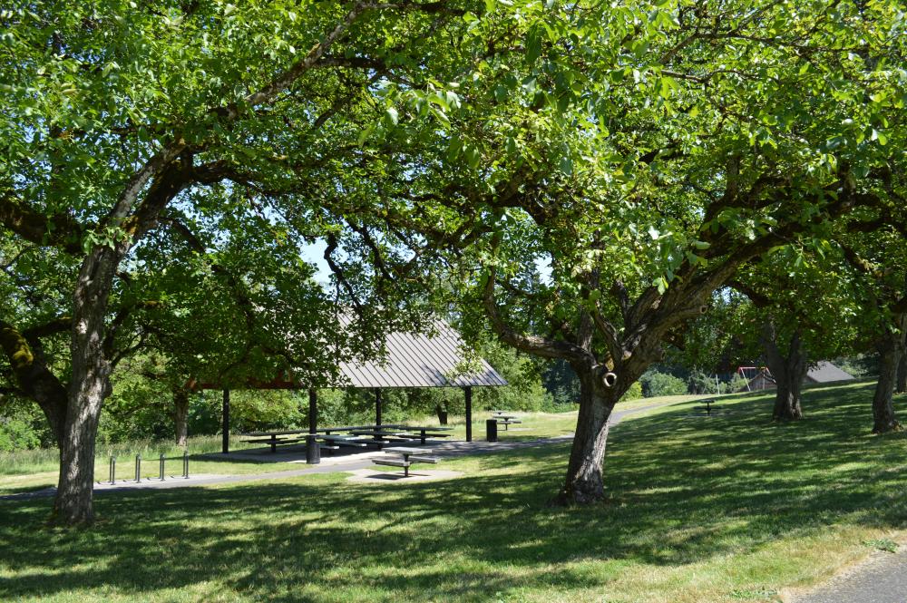 Grove Shelter Wilsonville Oregon